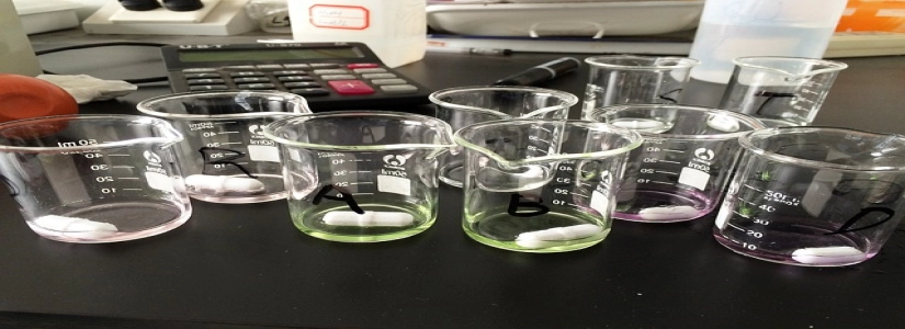 伯爵品牌推广大使